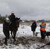 Конные соревнования в Мордовии 08-11.10.2015